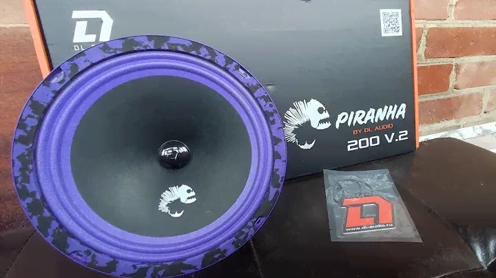 Обзор МЕГА ГРОМКИХ эстрадных динамиков DL Audio Piranha 200 V.2