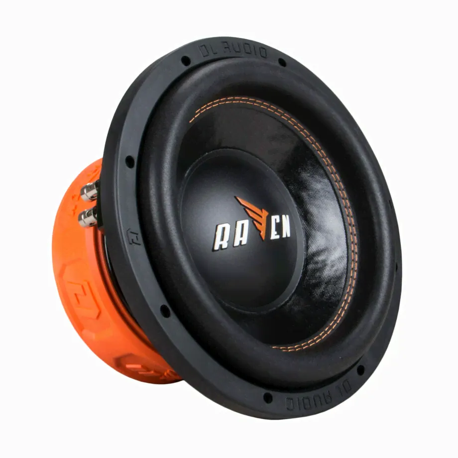 Raven 10 DL Audio-0