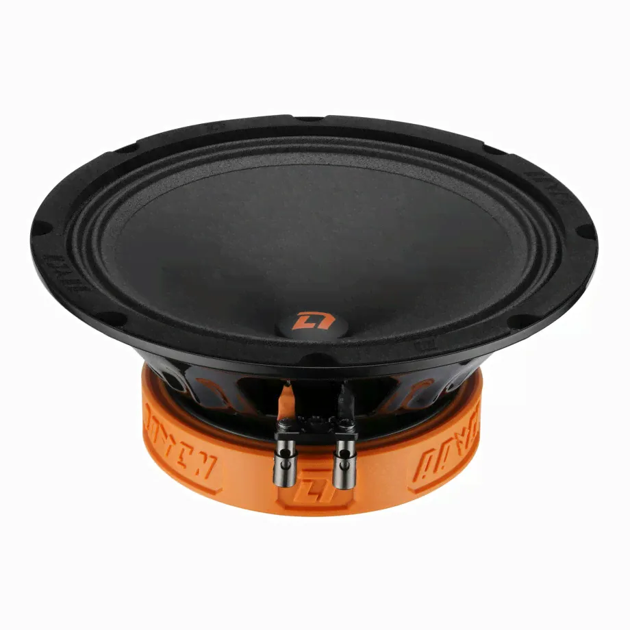 Raven 200 DL Audio