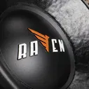 DL Audio Raven 12 сабвуфер