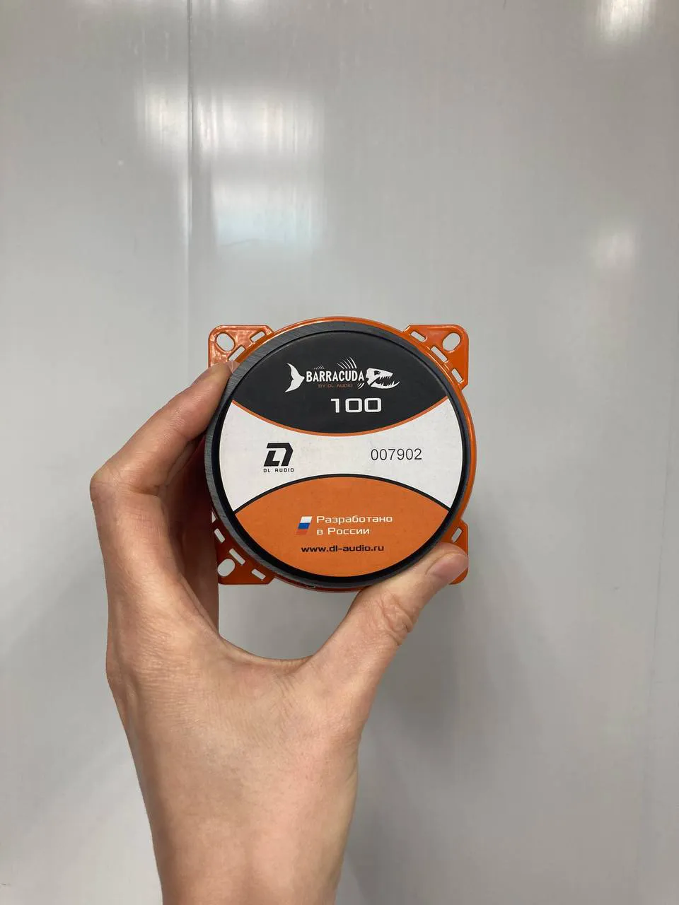 Динамики мидрейндж DL Audio Barracuda 100-1