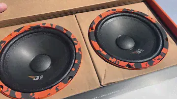 Замена штатных динамиков в Ford Focus 2 на DL Audio Gryphon Pro 165 Midbass