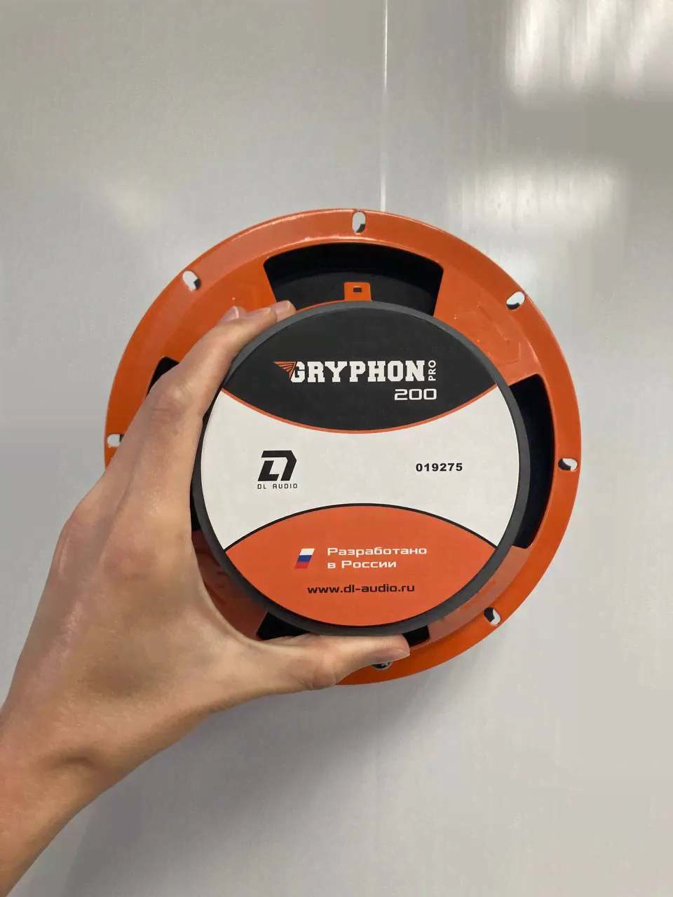 Динамики мидрейндж DL Audio Gryphon Pro 200-1