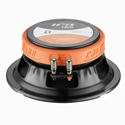 Эстрадная акустика DL Audio Raven 165