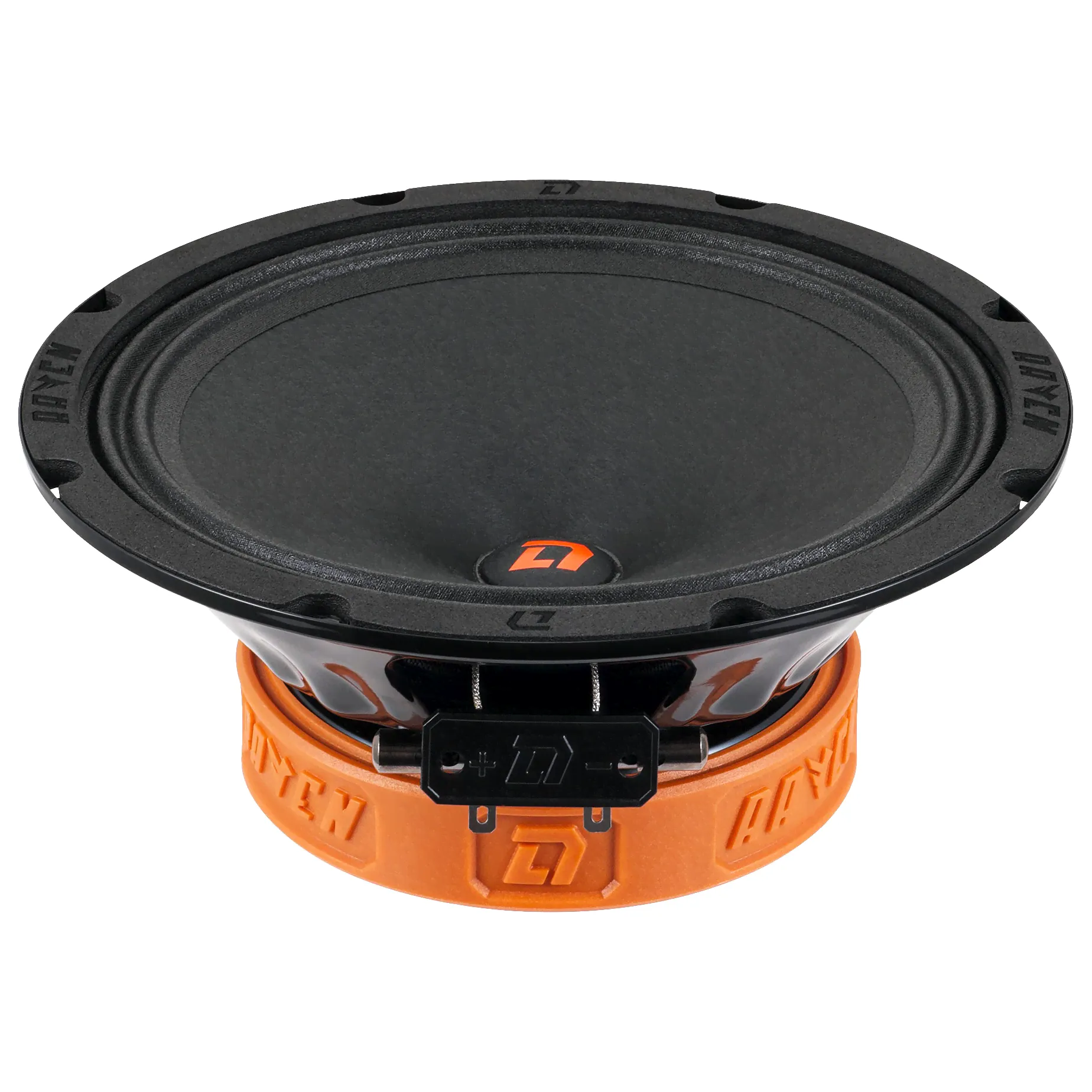 Акустика DL Audio Raven 200 V.2-0