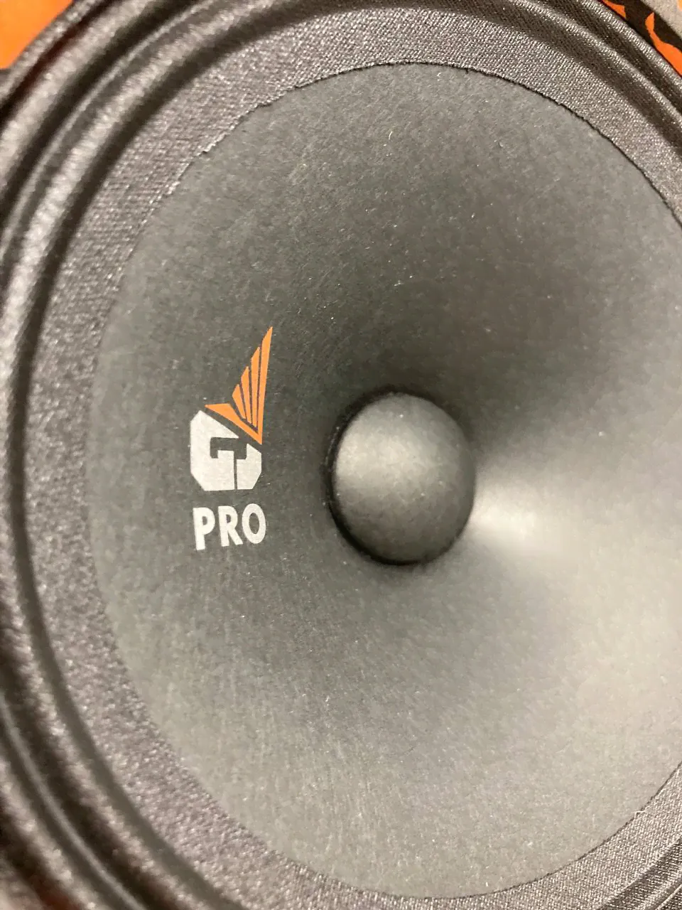 Динамики мидрейндж DL Audio Gryphon Pro 165-2