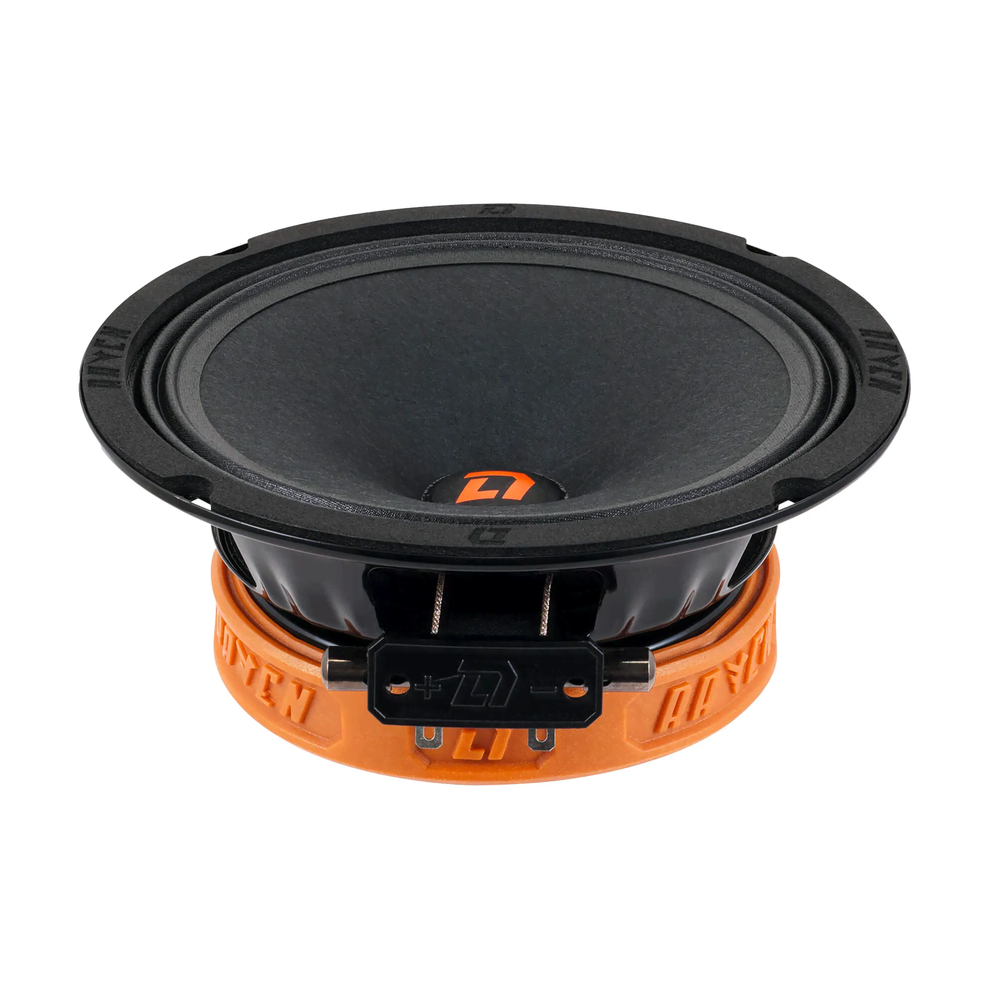 СЧ динамик DL Audio Raven 165, V2 110Вт /4/
